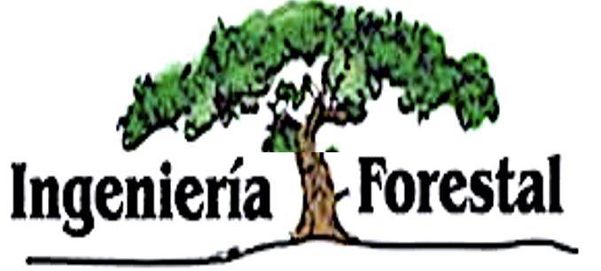 logo-cif